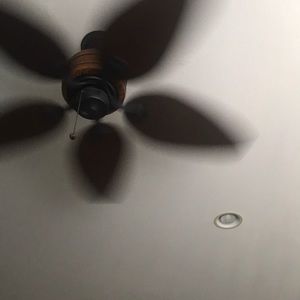 Meet your Posher, Sasha